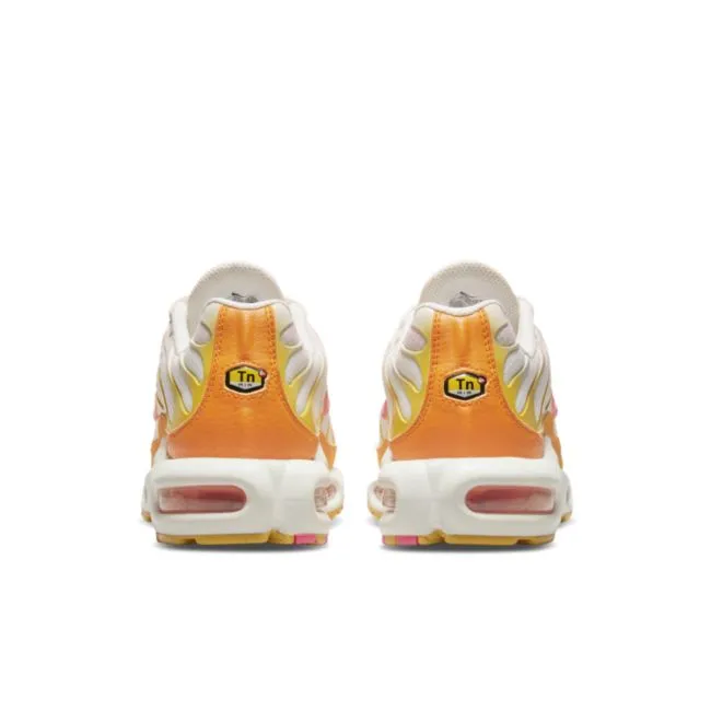 Nike Air Max Plus DX2673-100